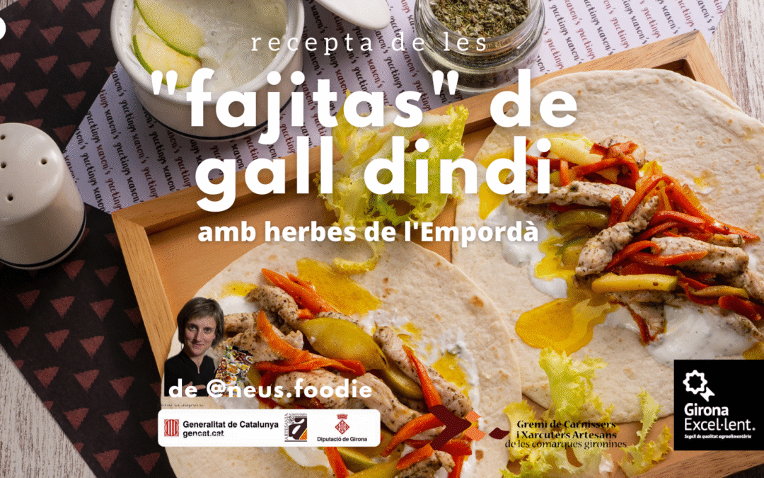 Fajitas de gall dindi amb poma àcida, pastanaga i salsa de iogurt Excel·lent