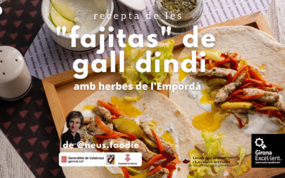 Fajitas de gall dindi amb poma àcida, pastanaga i salsa de iogurt Excel·lent